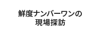 鮮度ナンバーワンの現場探訪